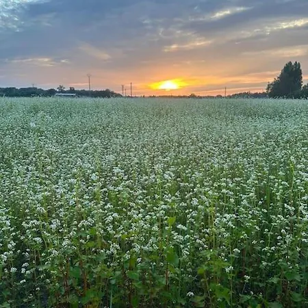 Au Coeur Des Champs Le Plessis-Grammoire